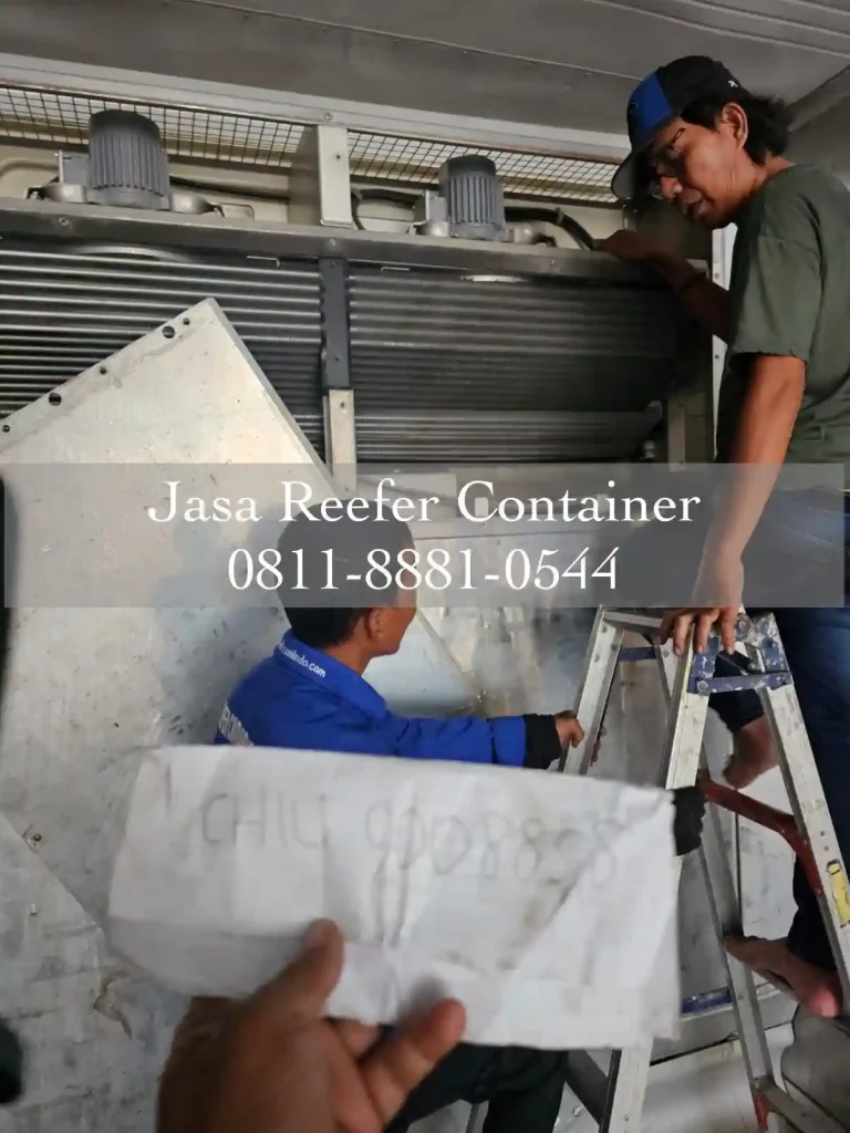 Jasa Reefer-container